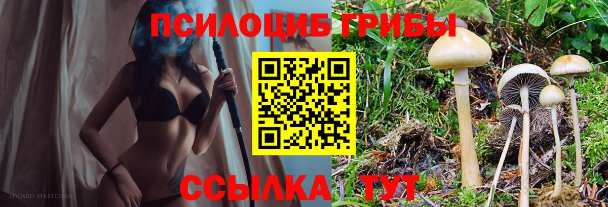 Галлюциногенные грибы прущие грибы Гудермес