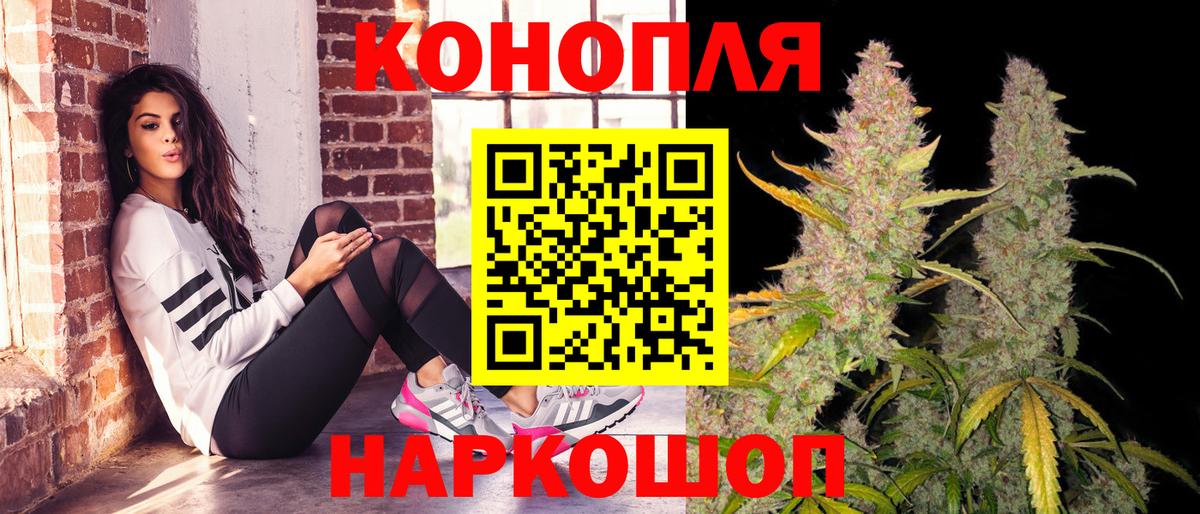Конопля MAZAR Гудермес